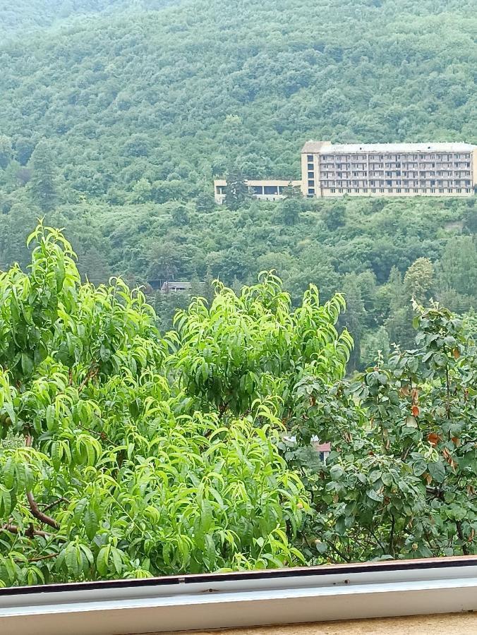 Green Garden Idschewan Exterior foto